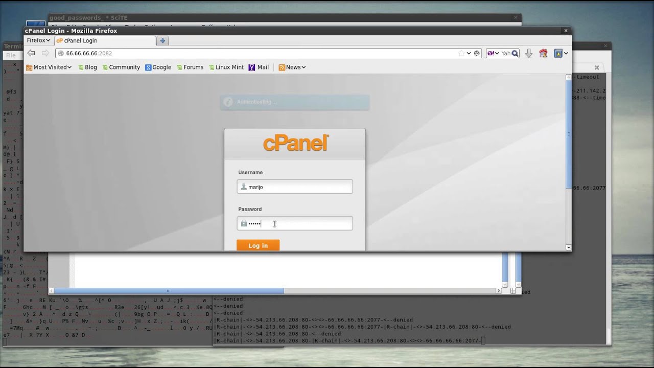 cpanel brute force download